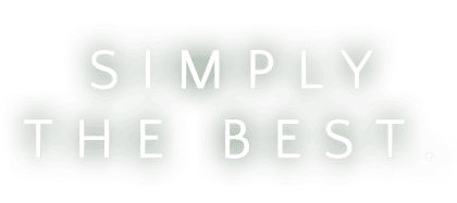 simply the best project experts